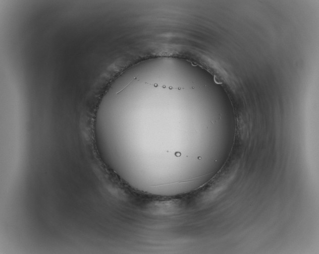 X0000111480307200907210954