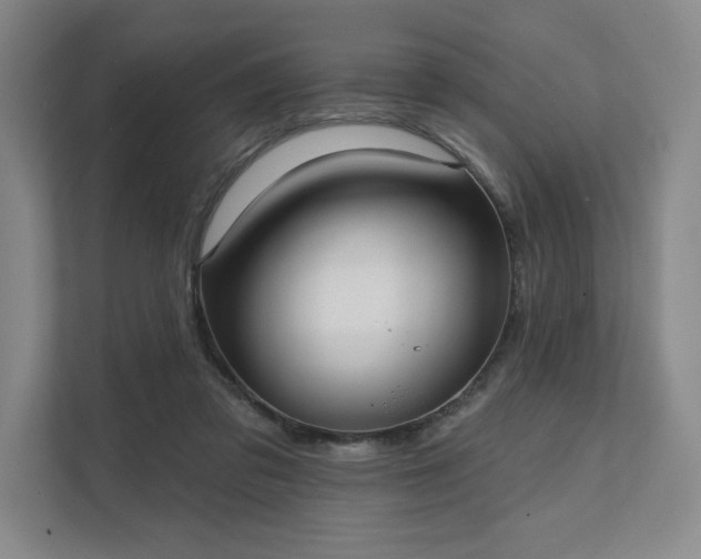 X0000111480309200907210954
