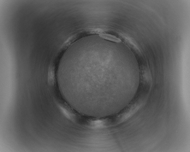 X0000111480312200907210954