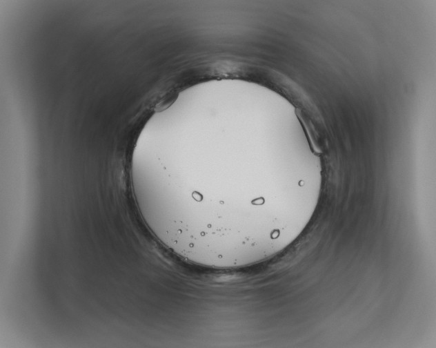 X0000111480313200907210954