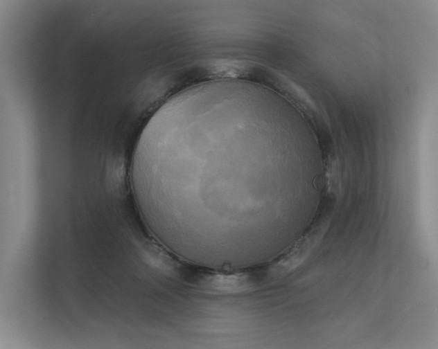 X0000111480314200907210954
