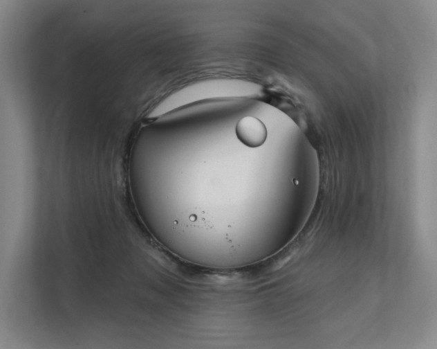 X0000111480317200907210954
