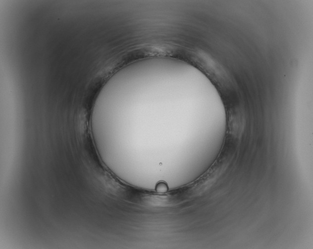 X0000111480318200907210954
