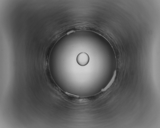 X0000111480324200907210954