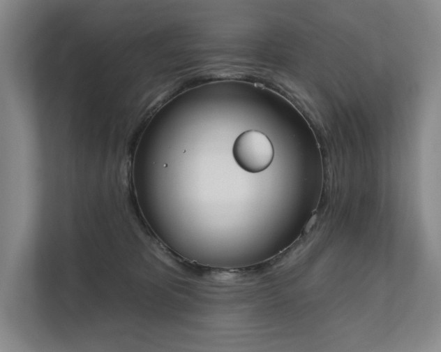 X0000111480325200907210954