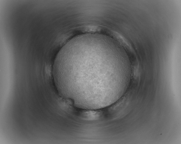 X0000111480326200907210954