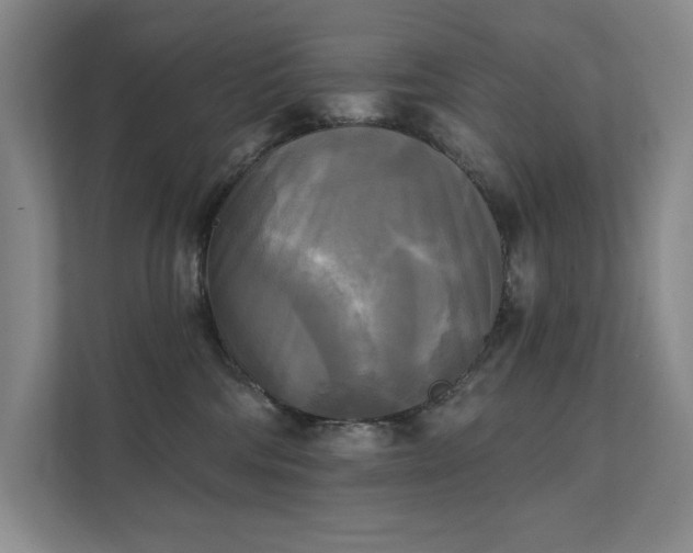 X0000111480330200907210954