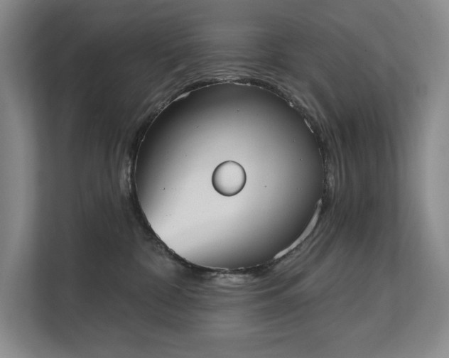 X0000111480332200907210954