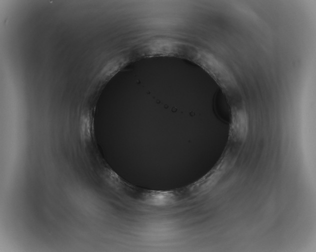 X0000111480333200907210954