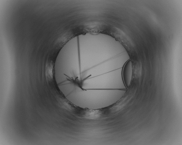 X0000111480334200907210954
