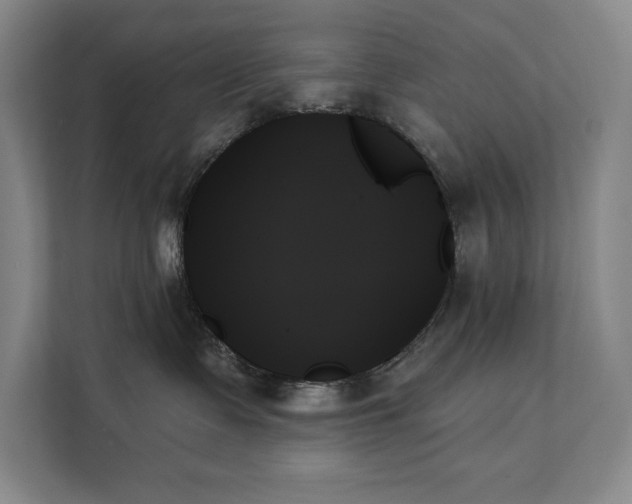 X0000111480335200907210954