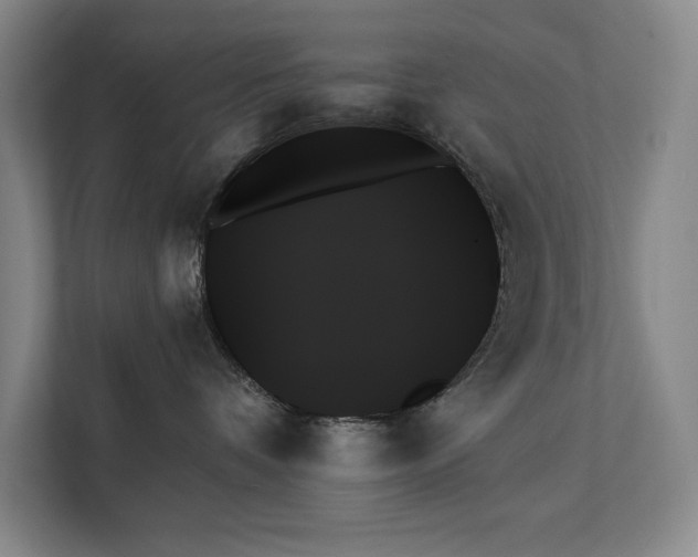X0000111480336200907210954