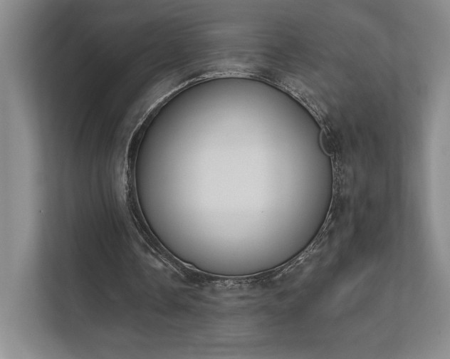 X0000111480338200907210953