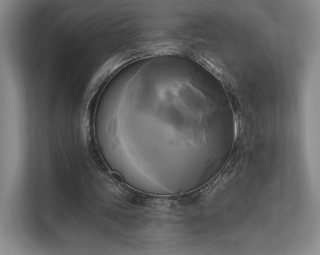 X0000111480339200907210953