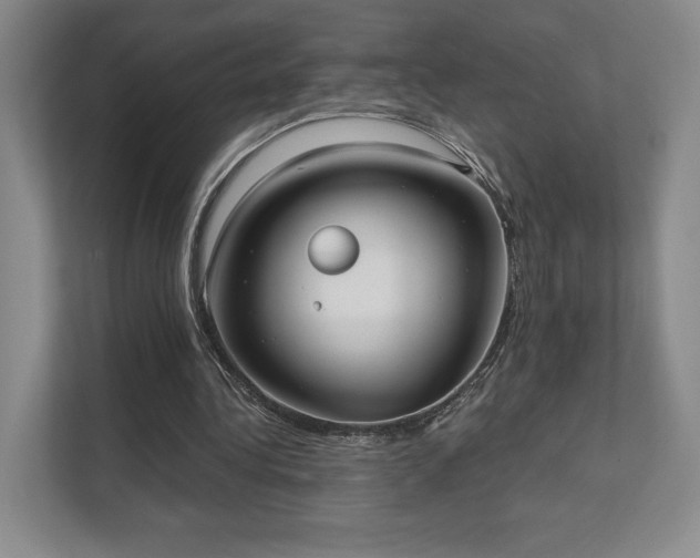 X0000111480340200907210953
