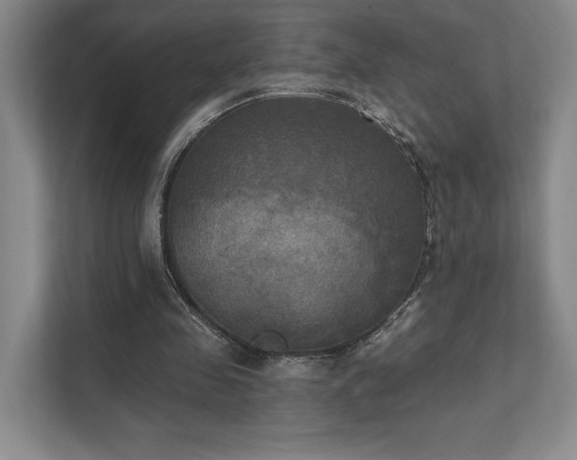 X0000111480341200907210953