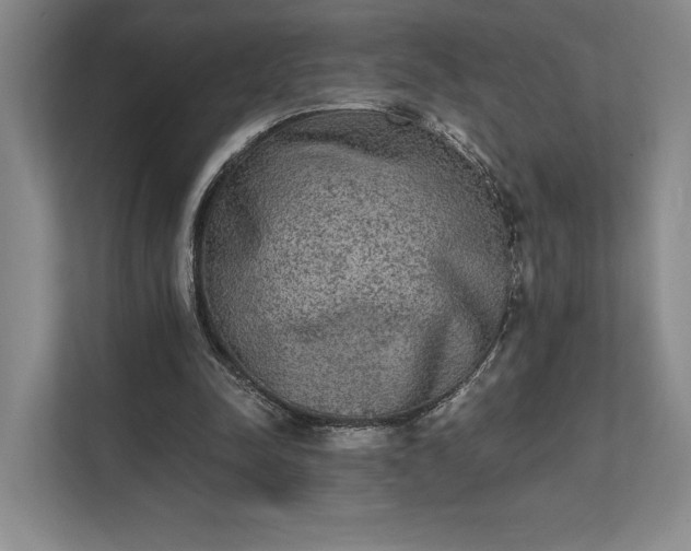 X0000111480342200907210953