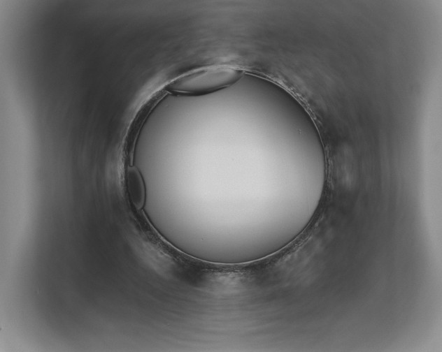 X0000111480344200907210953
