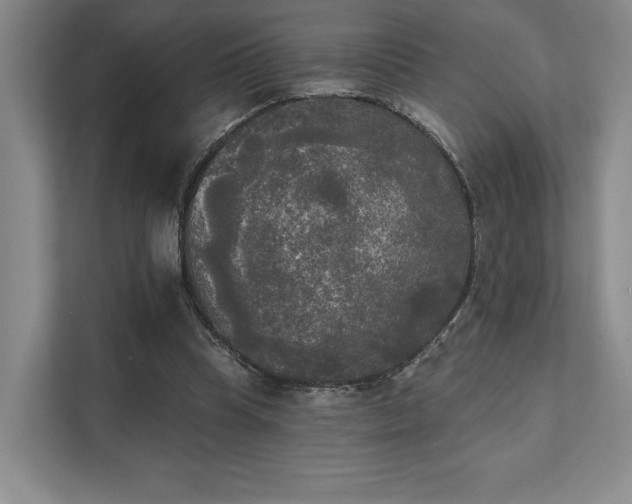 X0000111480345200907210953