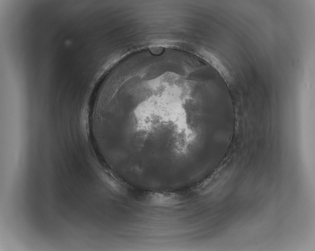X0000111480346200907210953