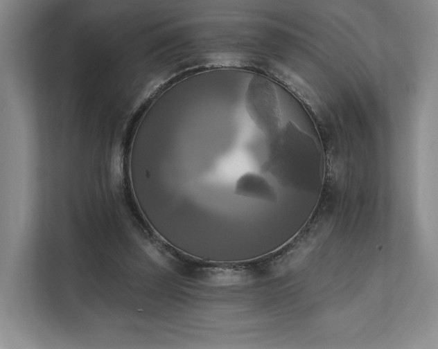 X0000111480347200907210953