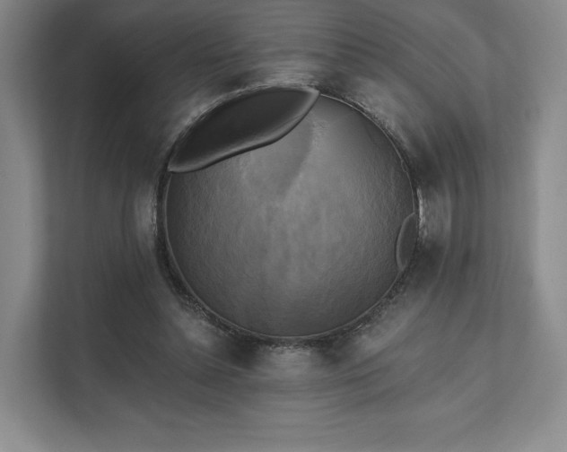 X0000111480348200907210953