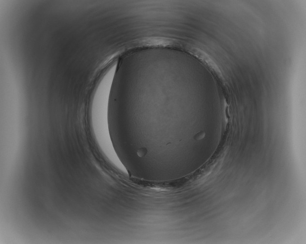 X0000111480352200907210953