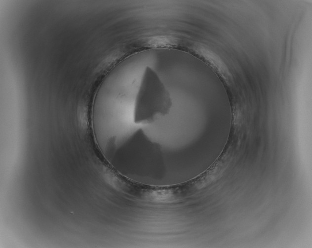 X0000111480353200907210953