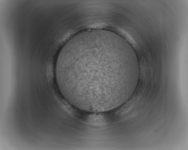 X0000111480354200907210953