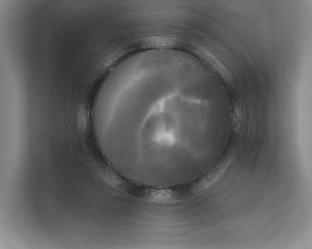 X0000111480355200907210953