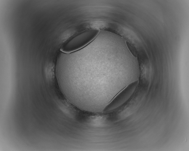 X0000111480356200907210953