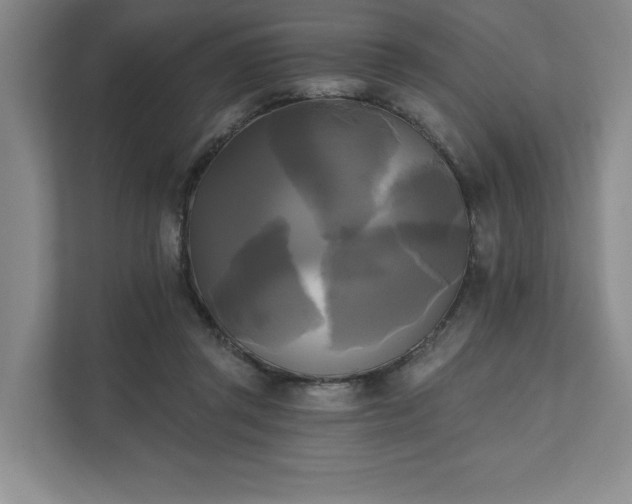 X0000111480357200907210953