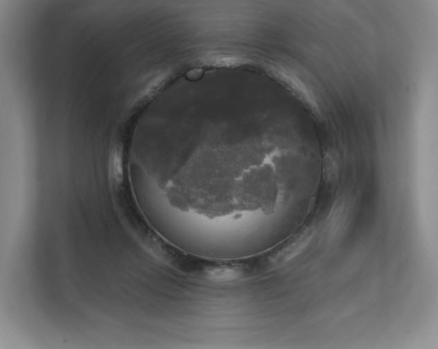 X0000111480358200907210953