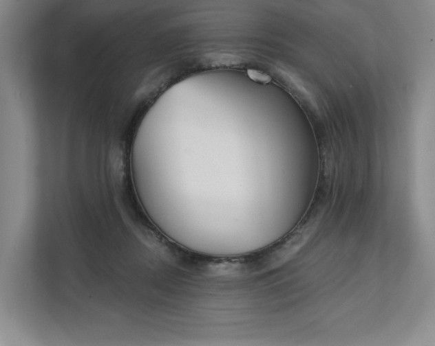 X0000111480362200907210953