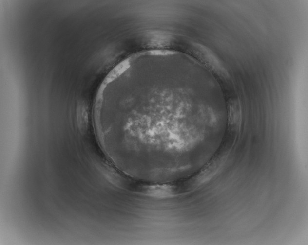 X0000111480363200907210953