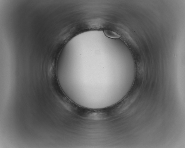X0000111480364200907210953
