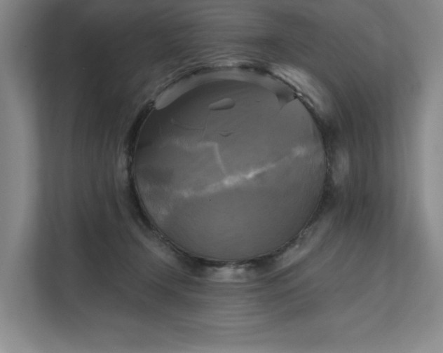 X0000111480366200907210953