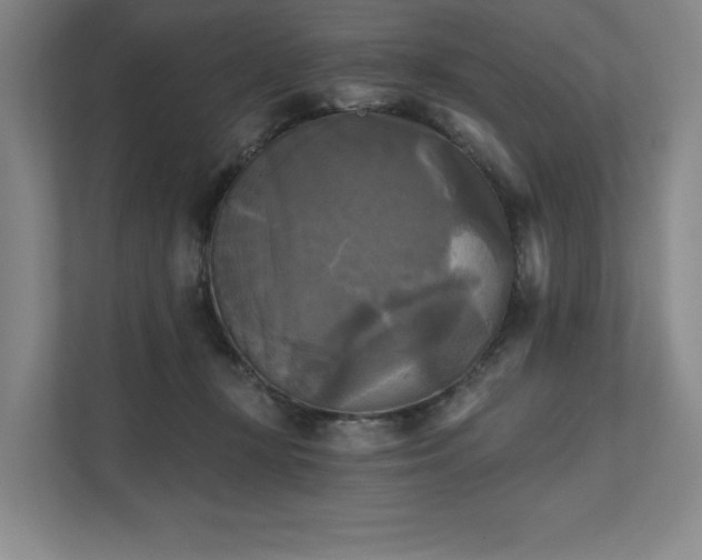 X0000111480367200907210953