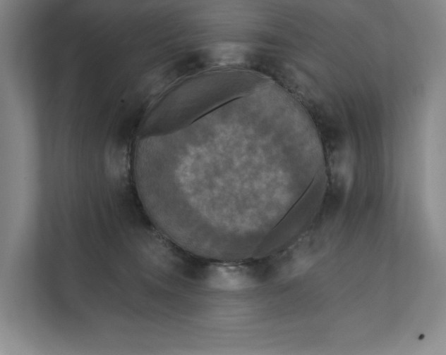 X0000111480372200907210953
