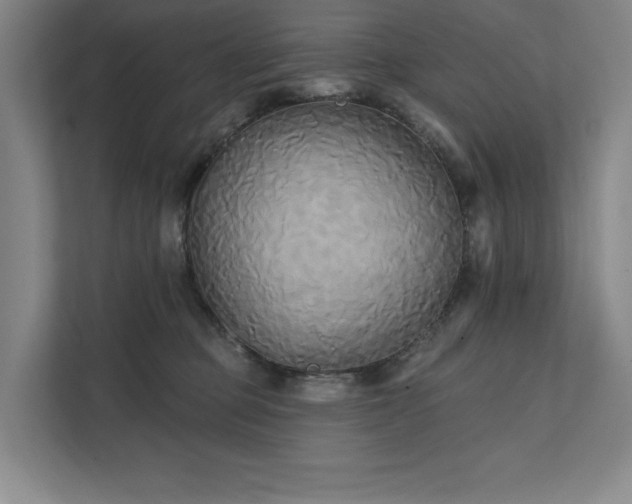 X0000111480373200907210953