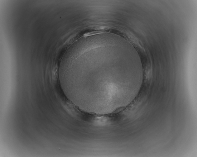 X0000111480376200907210953