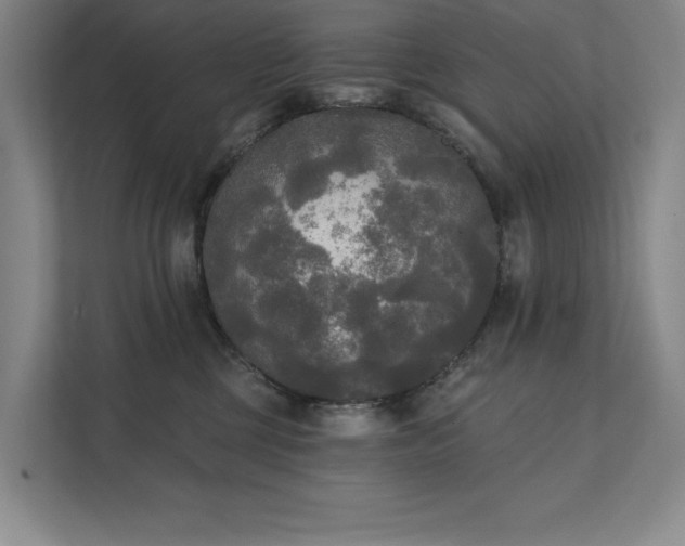 X0000111480377200907210953