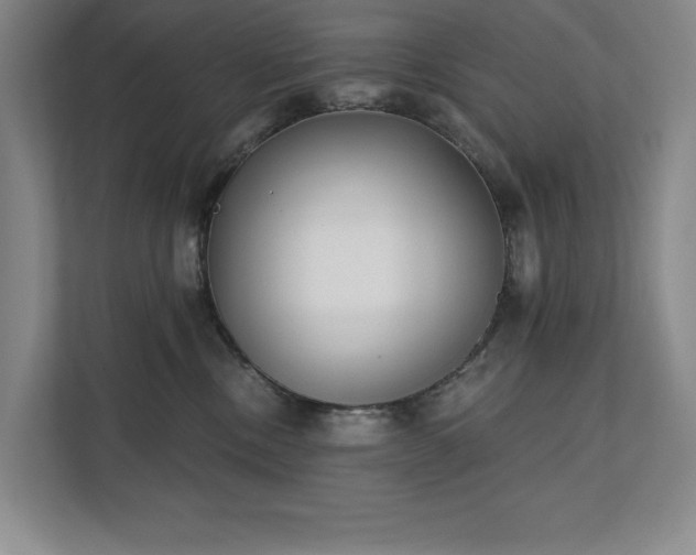 X0000111480378200907210953