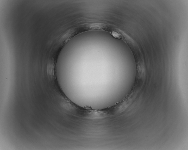 X0000111480379200907210953