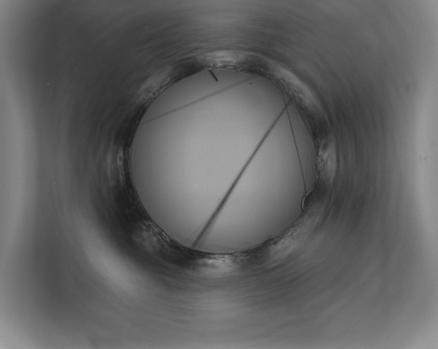 X0000111480381200907210953