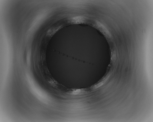 X0000111480382200907210953