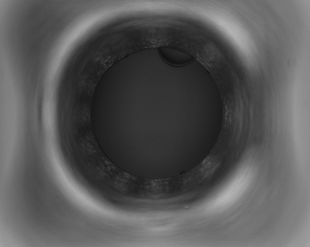 X0000111480383200907210953