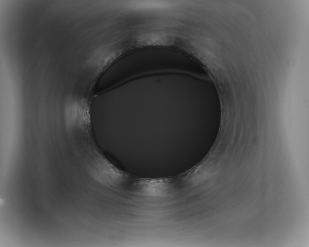 X0000111480384200907210953