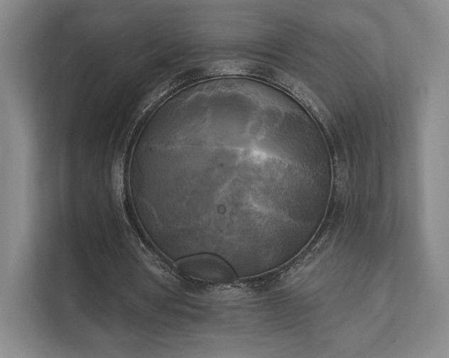 X0000111480386200907210953
