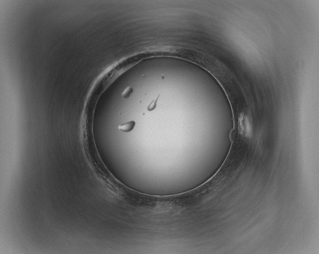 X0000111480388200907210953